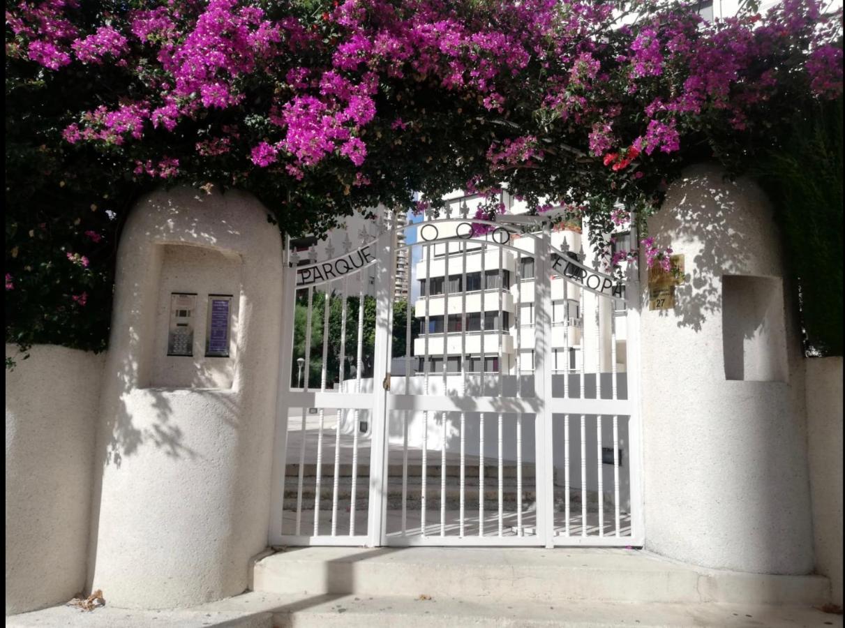 Apartamento Coffee Beach En Parque Europa Benidorm Ngoại thất bức ảnh