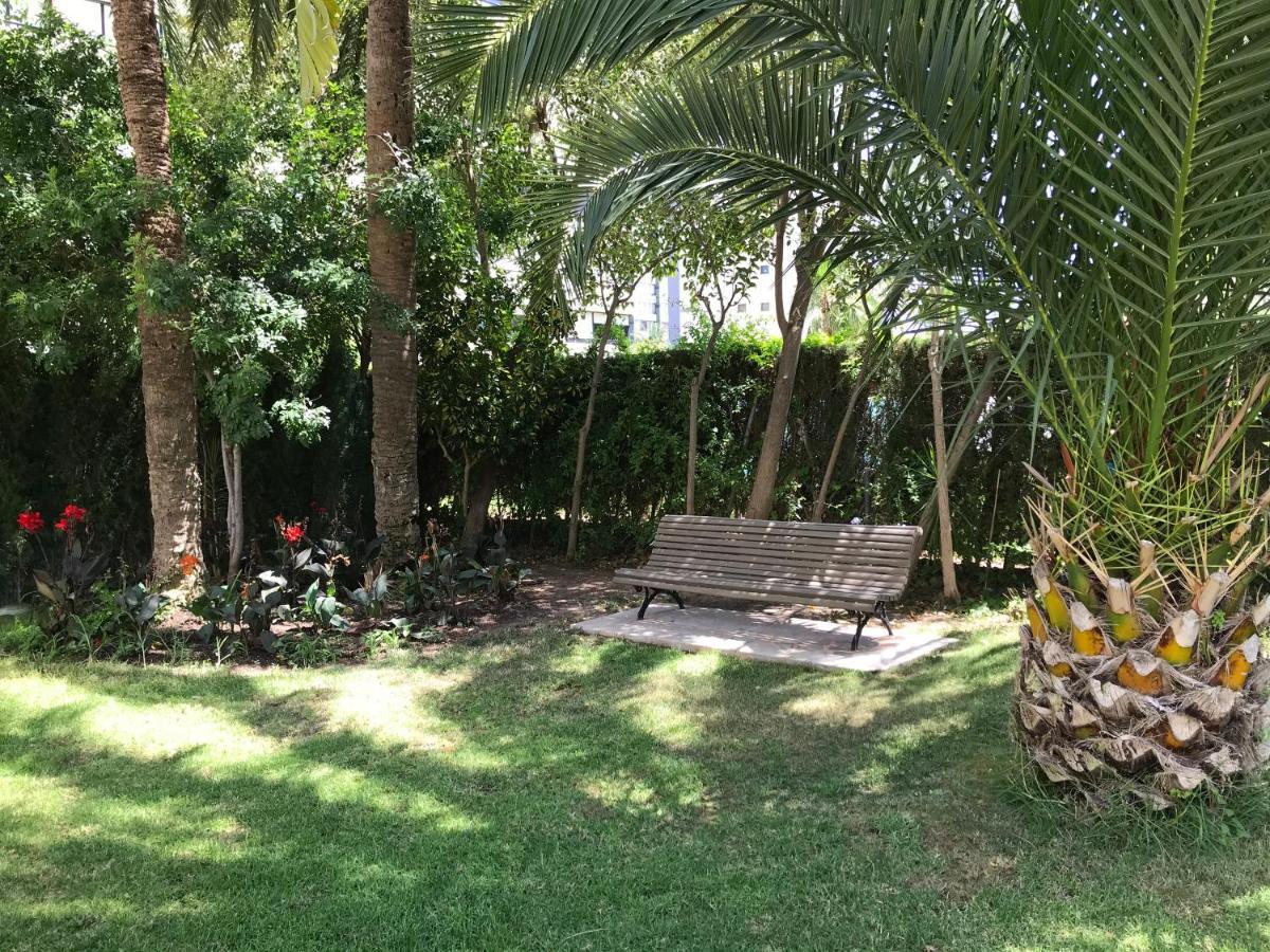 Apartamento Coffee Beach En Parque Europa Benidorm Ngoại thất bức ảnh